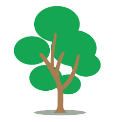 iniziative adozione piante treedom