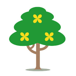iniziative adozione piante treedom