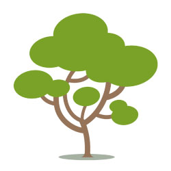 iniziative adozione piante treedom