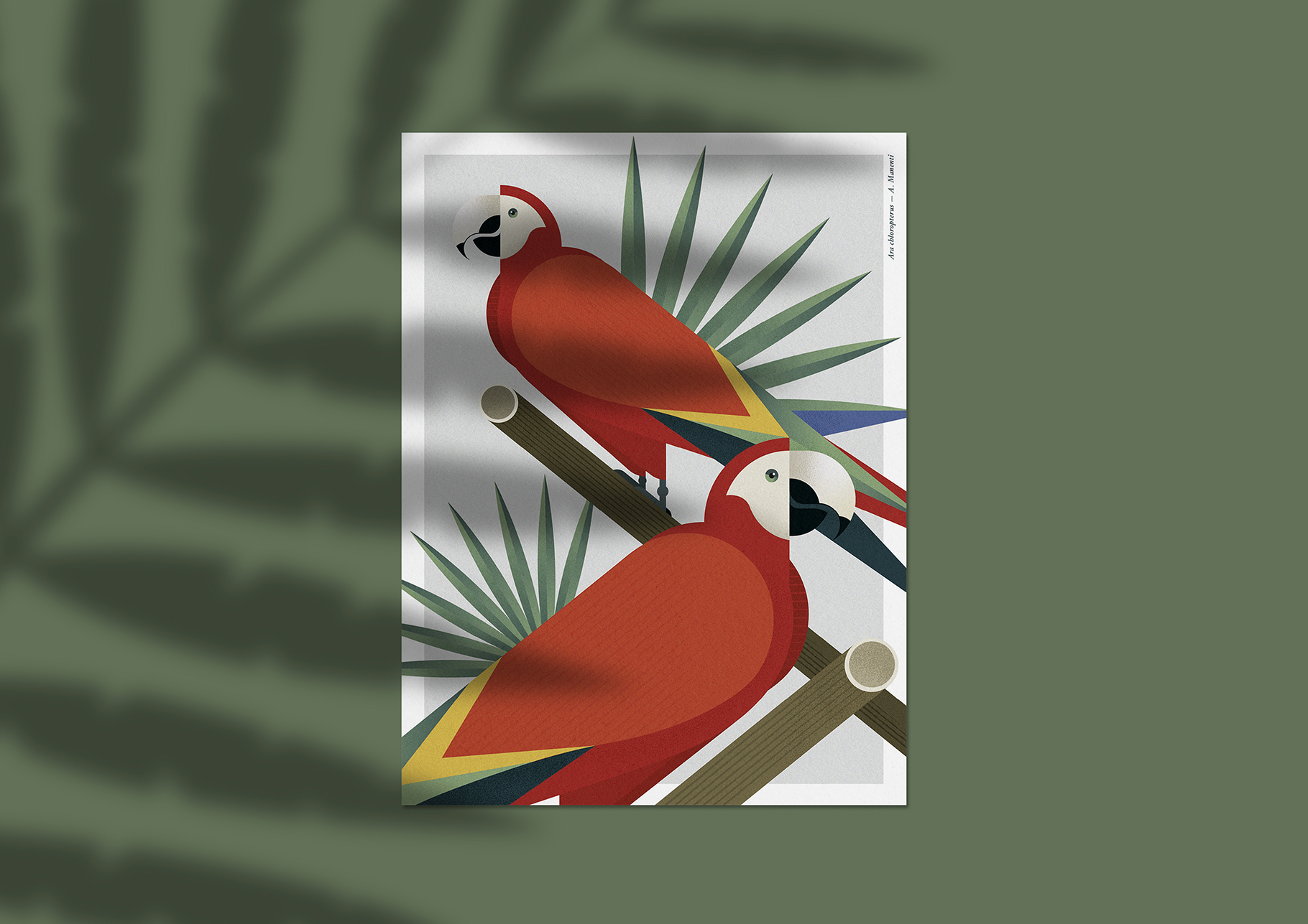 illustrazione pappagallo ara con ala verde parco natura viva