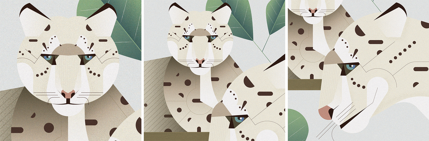 Illustrazione ghepardo delle nevi