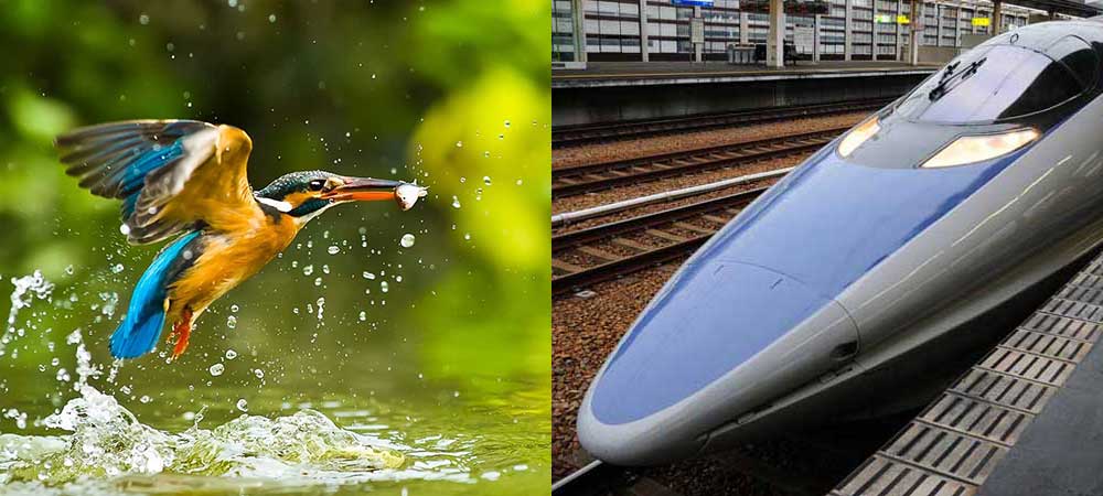 biomimicry biomimetica