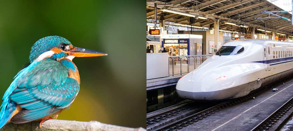 biomimicry biomimetica
