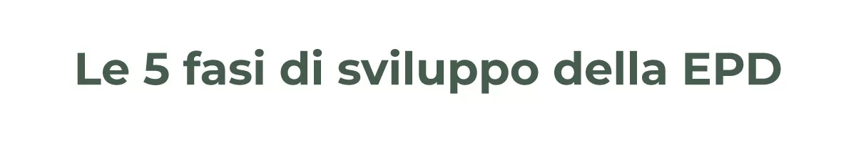 5 fasi di sviluppo EPD